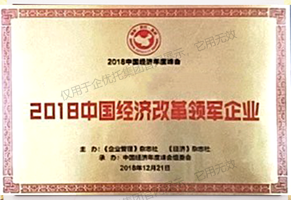 经济改革领军企业