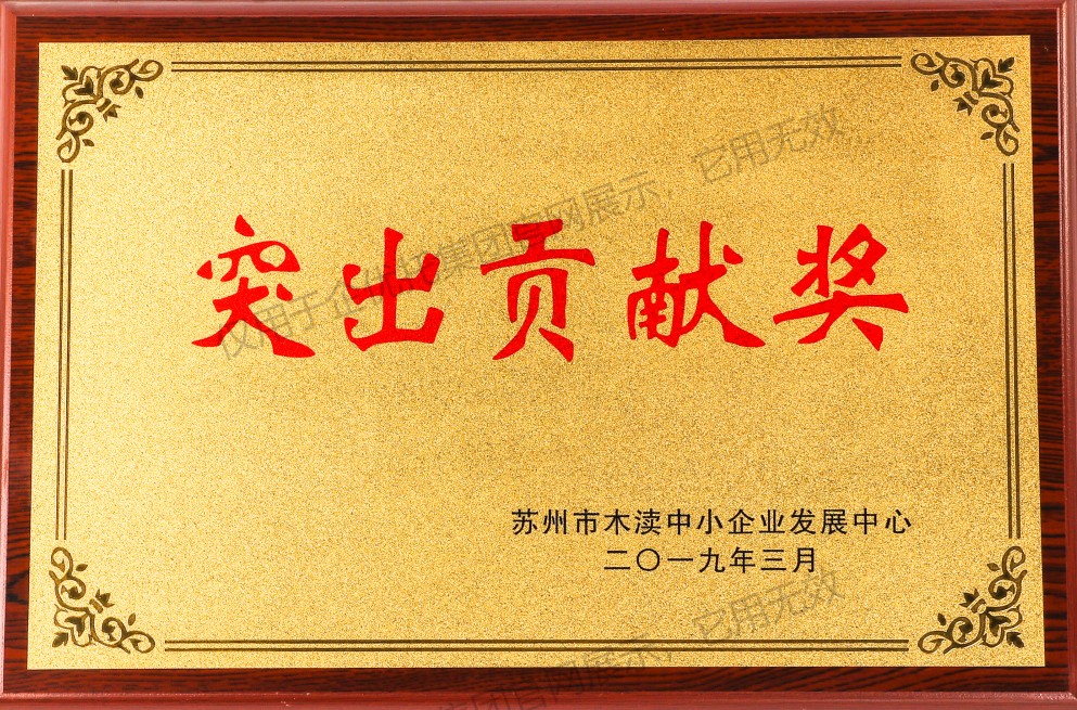 木渎镇2019突出贡献奖