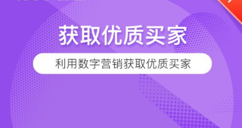 如何利用数字营销获取优质买家？