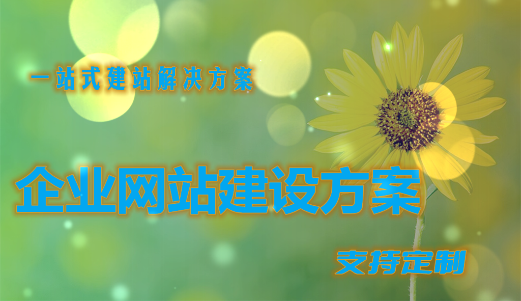 企业网站的建设方案