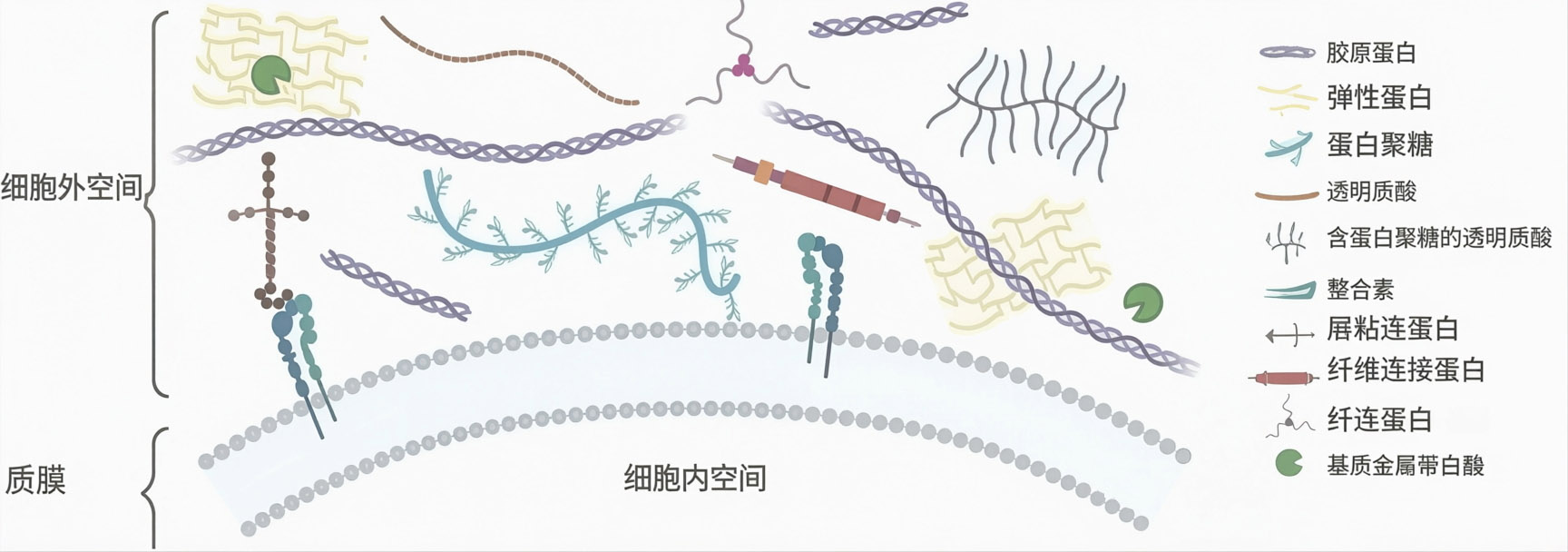 液态遮阳伞｜三重肌底防护，改写传统防晒局限