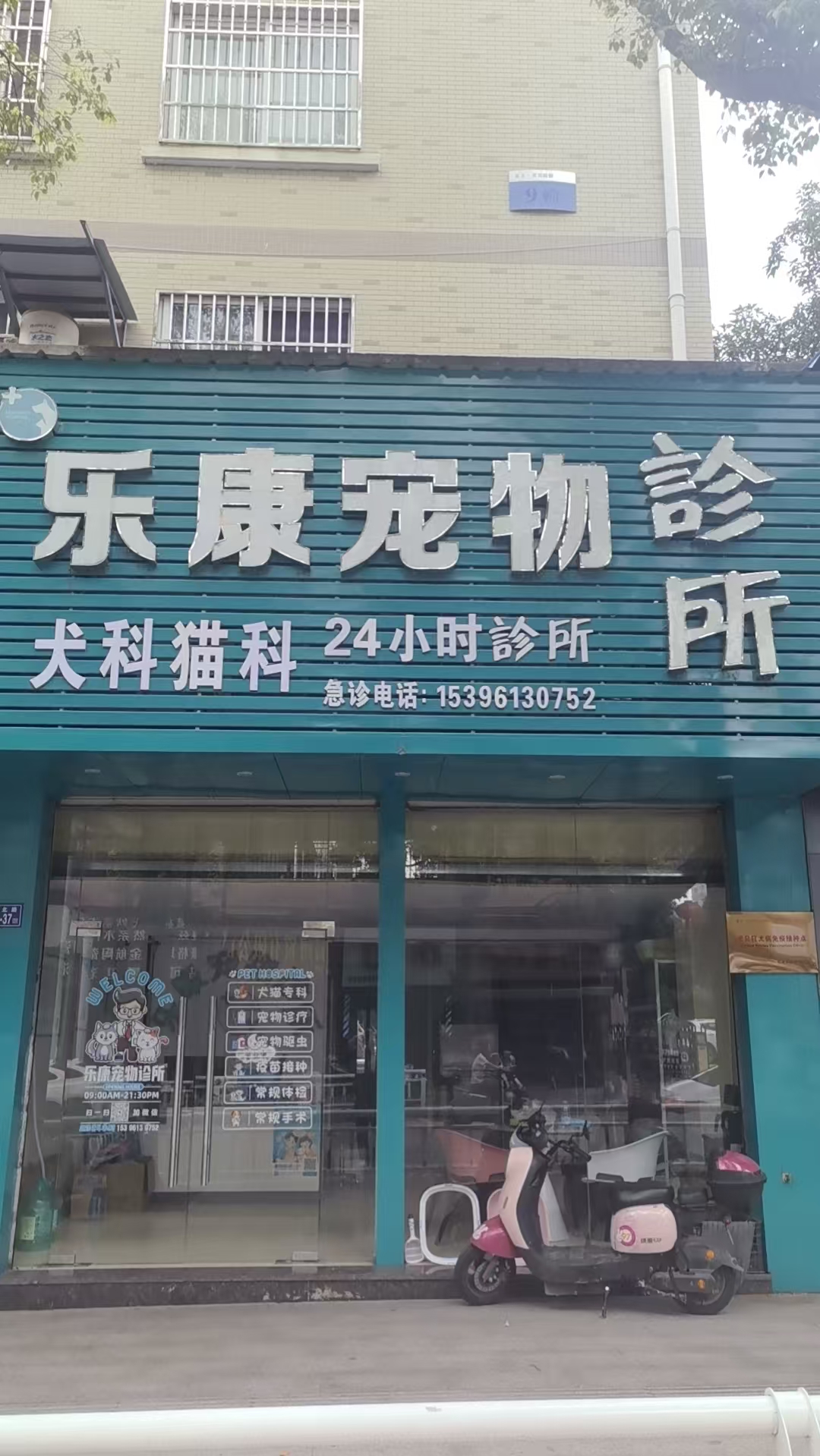 松溪县动物诊疗机构合规要求及正规机构推荐