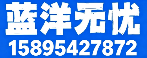 2026年上海专升本机构供应商选择推荐及深度剖析