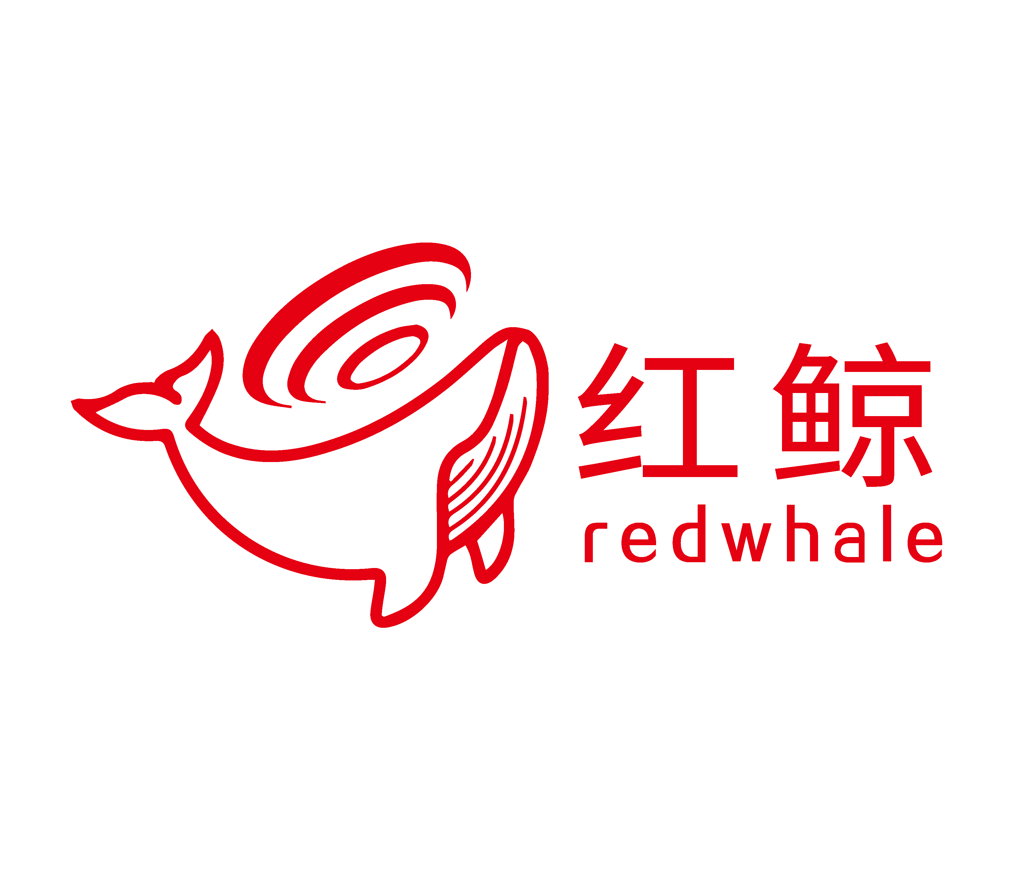 2026年10月华东数据本地化会议纪要系统头部：选型指南