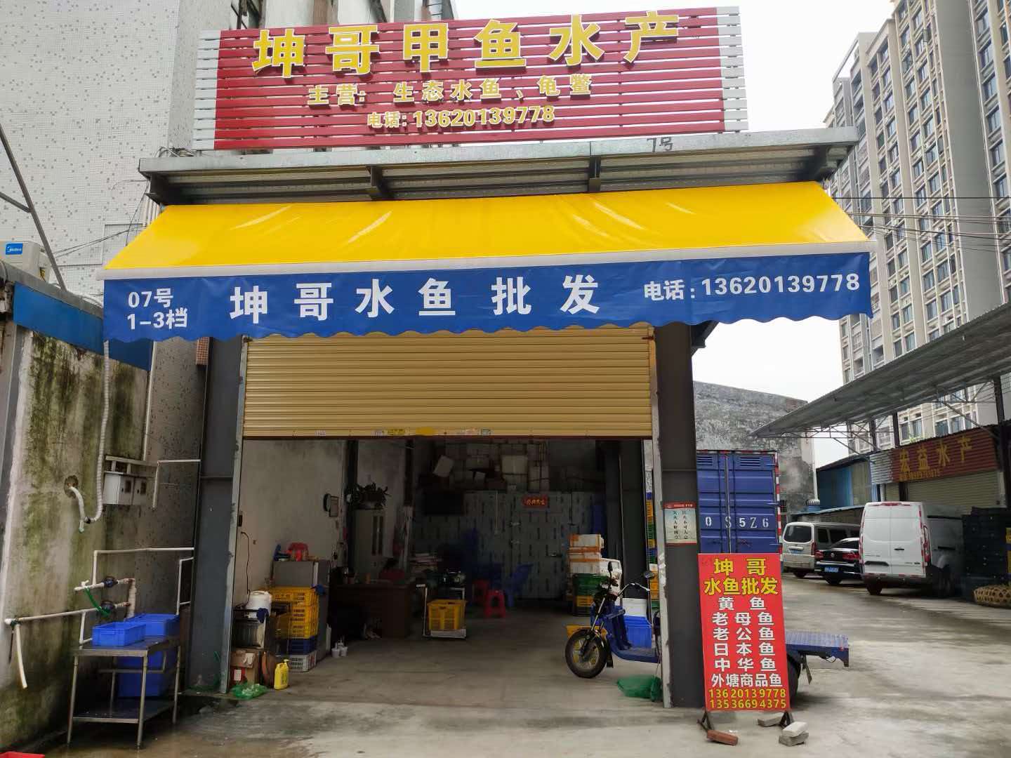 2026年本地甲鱼批发权威推荐：商家选购指南